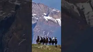 «Горный маршрут плюс конные прогулки🐎»