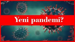 Maymun Çiçeği Nedir?