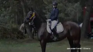 Heart of a champion [Turniersaison 2016]