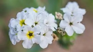 Fotografieren lernen auf Fuerteventura