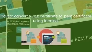 How to convert .p12 certificate to .pem certificate