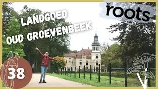 ROOTS ROUTE LANDGOED OUD GROEVENBEEK - wandelvlog 38