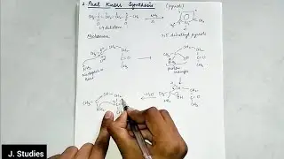 Paal Knorr Synthesis with mechanism | Organic Chemistry || B.Sc. 3rd year #chemistry #hpu #bsc