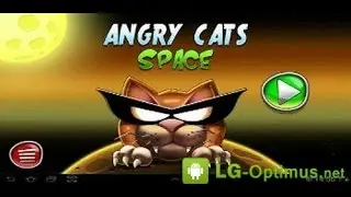 Angry cats