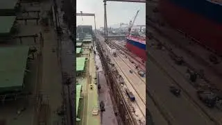 Лучшие моменты трансляции 