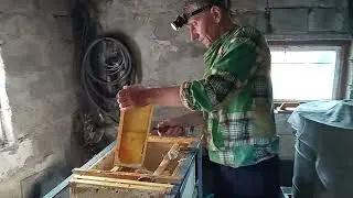 Качаем разнотравье!