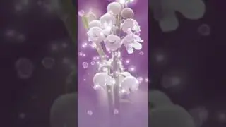 Хания Фархи жырлый. Искиткеч матур жыр. Official