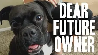 Meghan Trainor - Dear Future Husband Parody - 