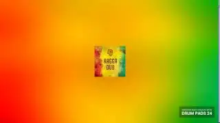 Drum Pads 24 :: Ragga Dub 3