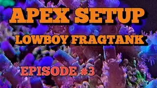 Apex Setup | Lowboy Fragtank EP#3