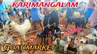 காரிமங்கலம் ஆட்டு சந்தை தருமபுரி மாவட்டம் இந்த வாரம் விலை பரவாயில்லை tn24sakthivlogs