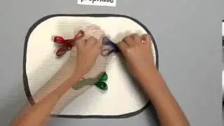 Phases of Mitosis