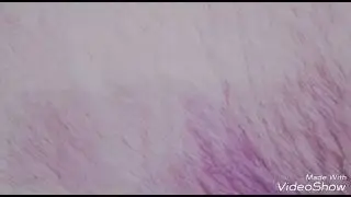 Мои наклейки !!!