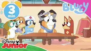 Bluey | Giochi - Disney Junior Italia