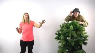 Zacchaeus meets Jesus