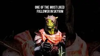 Skyrim Best Follower #skyrim #skyrimspecialedition #skyrimse #skyrimmods #adventure #witcher #ps5
