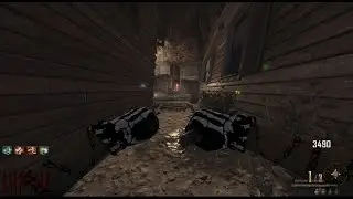 Bo2 Chaos Mod w/ @exzrty302