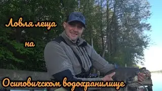 Попытка номер 2 за лещем. Фидерная рыбалка на Осиповичском водохранилище.