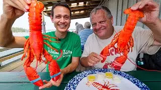 The Ultimate LOBSTER ROLL Tour!! 🦞🥖 Best Lobster Shacks in Maine, USA!!