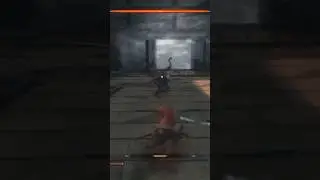 隻狼/SEKIRO 浮き舟渡り対決 floating passage showdown