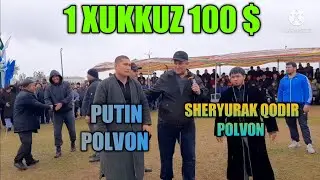 PUTIN POLVON VA SHERYURAK QODIR POLVONLARNI NATIJASI NIMA BULDI.