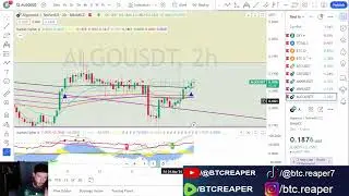 Algorand Rising Triangle Bounce #cryptocurrency #algo #algorand #technicalanalysis #cryptotrading