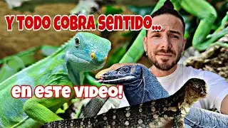 NUEVO SUPER TERRARIO! -El NACIMIENTO MAS ESPERADO! y una pequeña reflexión... TODO COBRA SENTIDO!