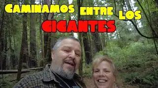 🥳 Volvemos a las rutas 🚌 Pareja viajera 🇺🇸 Alaska Argentina 🇦🇷