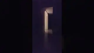 свет прям под видео #кавасаки #roblox #birds