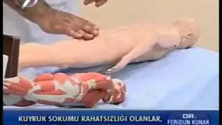 Dr. Feridun Kunak Show 3 Ekim B2 (Kuyruk Sokumu Ağrılarında Yapılması Gerekenler 2)