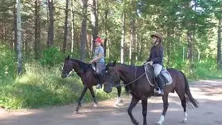Лесное озеро, парк Прибрежный, г. Набережные Челны