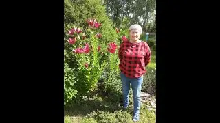 Mama