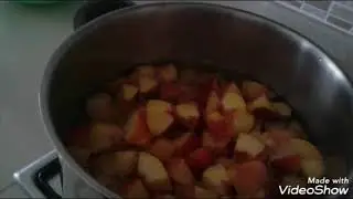 kışlık şeftali komfostosu