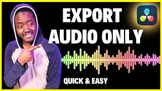 How to Export Audio Only From Davinci Resolve (2024)