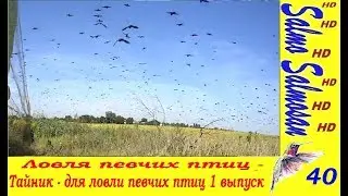 Ловля певчих птиц  - Тайник - для ловли певчих птиц 1 выпуск (Скворцы атакуют)