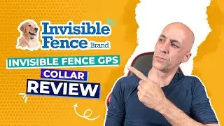 Invisible Fence GPS Collar: Detailed Review [2024]