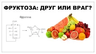 ФРУКТОЗА: ДРУГ ИЛИ ВРАГ?