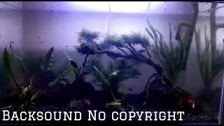 Backsound no copyright, backsound sinematik, backsound sedih.