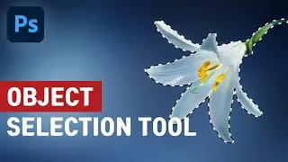 개체 선택 도구(Object Selection Tool) [포토샵 TL #18-1]