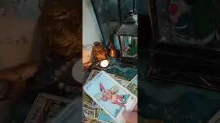 Ваша соперница сегодня🧐