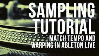 The big sampling tutorial: matching tempo and using warp modes in Ableton Live