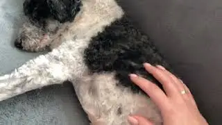 #028 ASMR Video ~ Tapping around my house ~