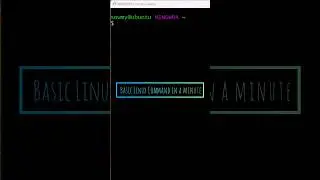 Basic Linux Commands for beginners 