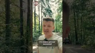 Работа и финансовое консультирование в Чехии #покиньтевагон #работавчехии