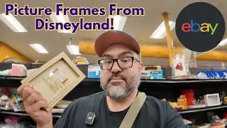 Finding Exclusive Merchandise From Disney Parks! Great Items For My eBay Store