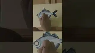 My favorite fish: aholehole. More stickers coming soon!