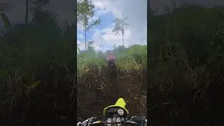 Кто-то заметил  💩 на сидушке ?