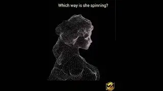optical illusion /sculpture / eye magic / illusion / illusion art/ illusion photo/ spinning