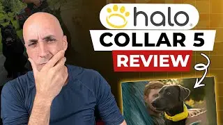 Halo Collar 5 Review: MUST WATCH Before You Buy (Real Test)