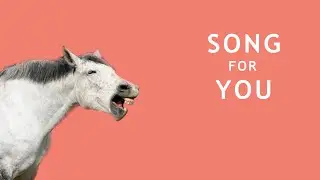 NEEDSHES - Song For You